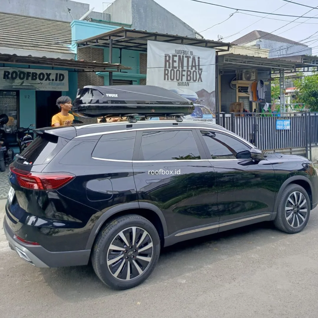 Motion M 1