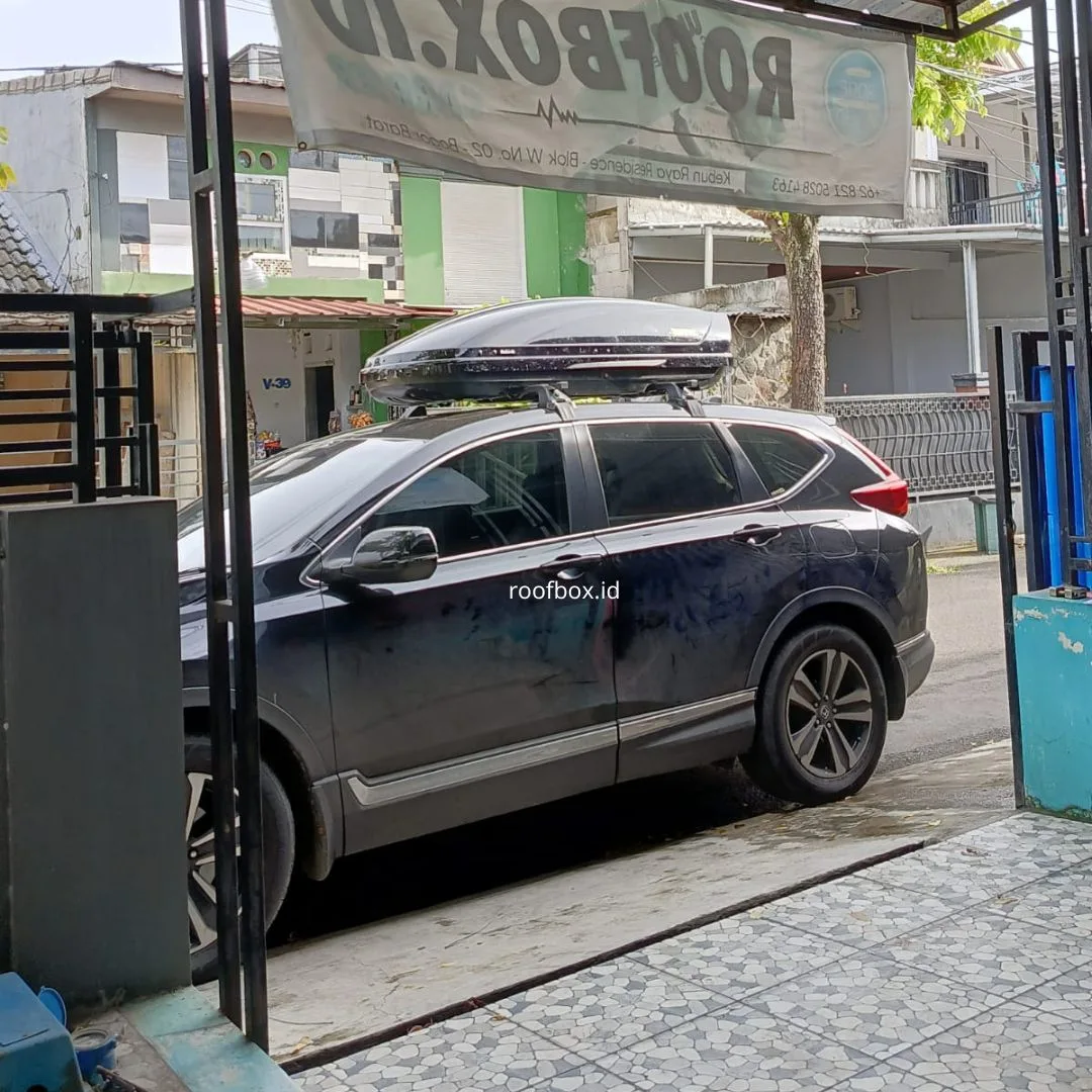 Motion M 2